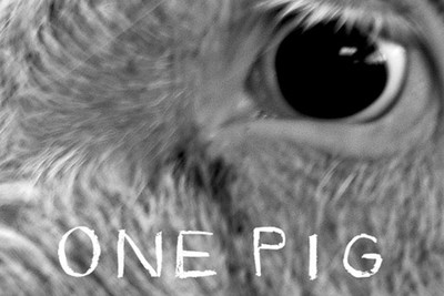 one pig