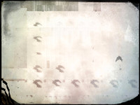 3-16