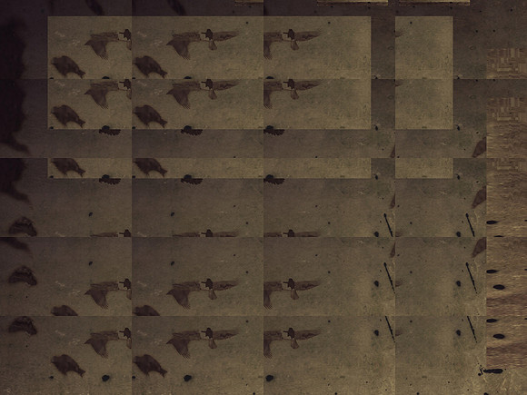 2-44