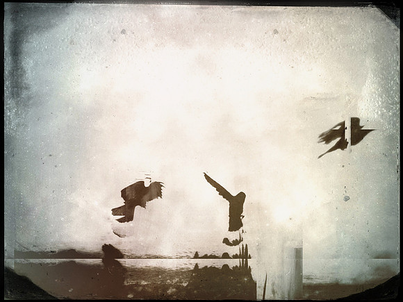 18-83