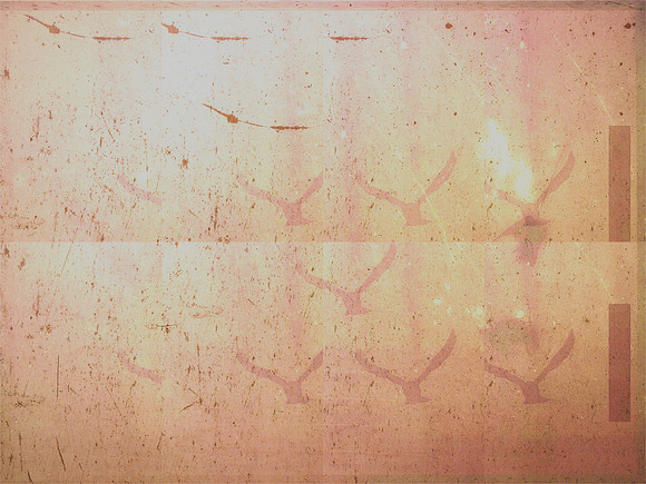 29-71