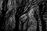 chrisfriel-5-5