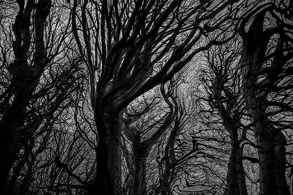 chrisfriel-5-5
