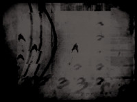 2-11