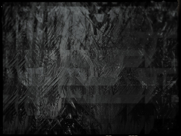 15-81