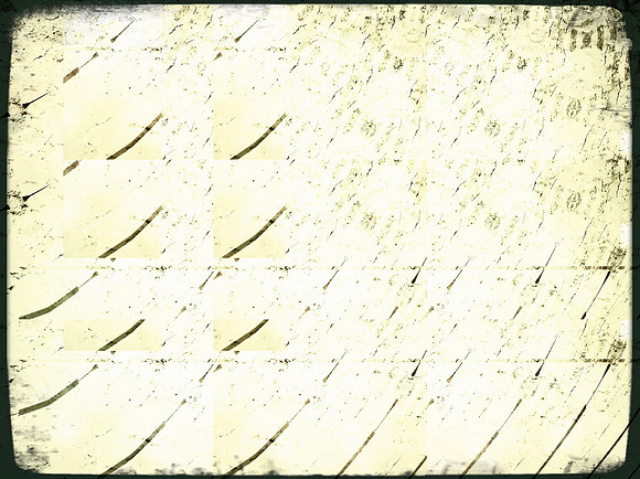 20-80