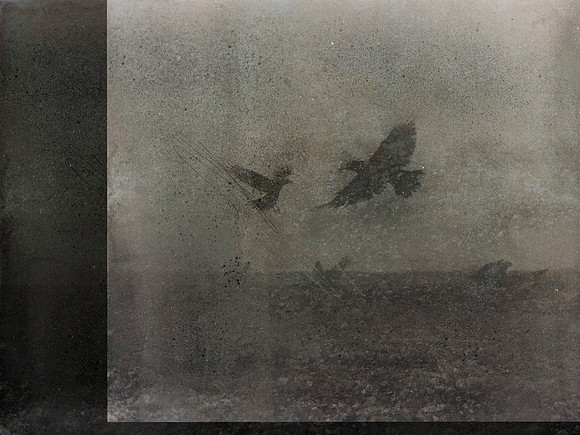 24-96