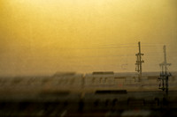 agra #11