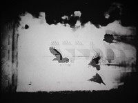 39-7-2