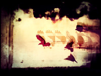 39-6-2
