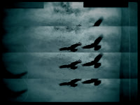5-13