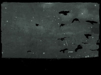 8-20