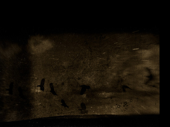 8-51