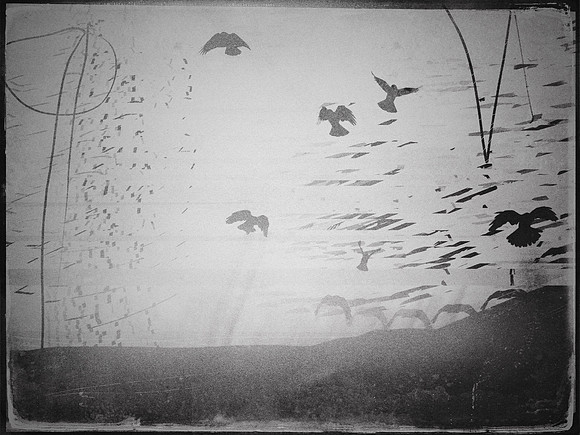 11-115