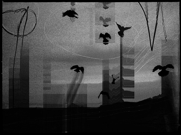 11-118