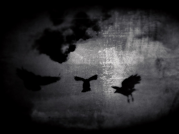 16-163