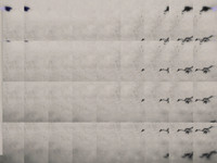 6-2