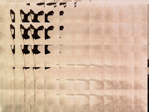 9-224