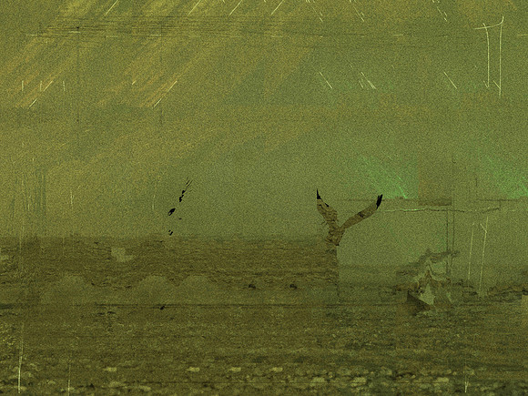 31-206