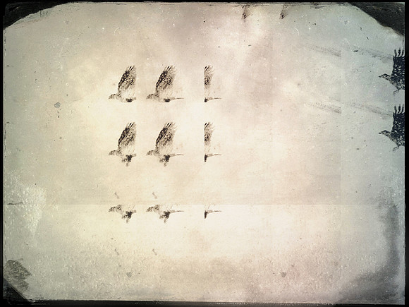 33-219