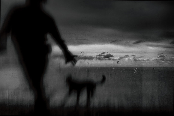 untitled-384-2