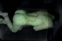 280314 #448-7