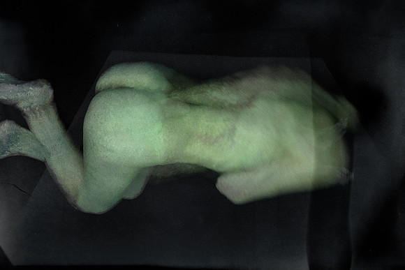 280314 #448-7
