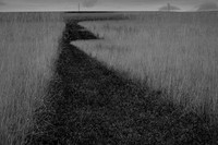 2013-09-17v2-113
