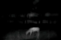 2011-09-02-52-3