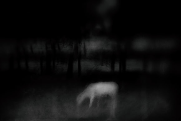 2011-09-02-52-3