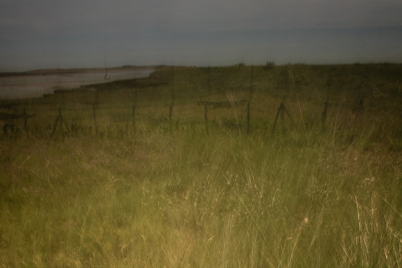 cf37 - field 1