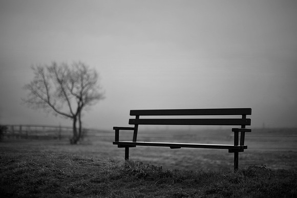 bench