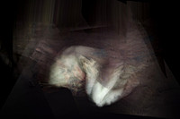 280617-1-10