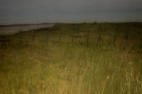 cf37 - field 1