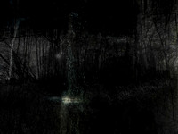 291116-5-15