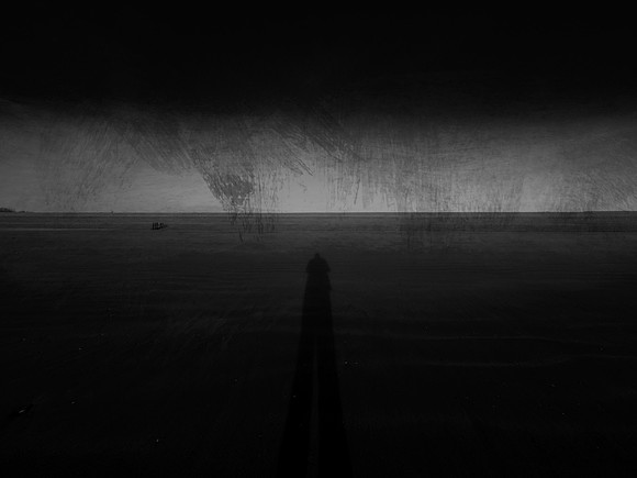 22-313