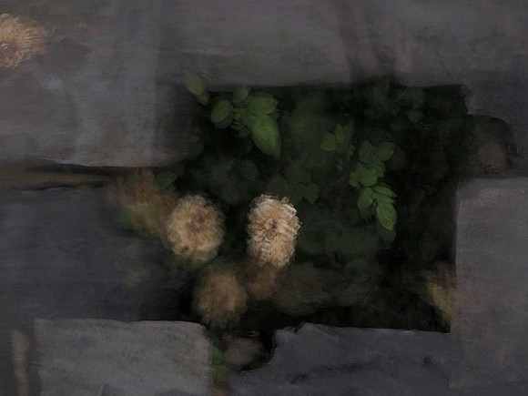 7-81