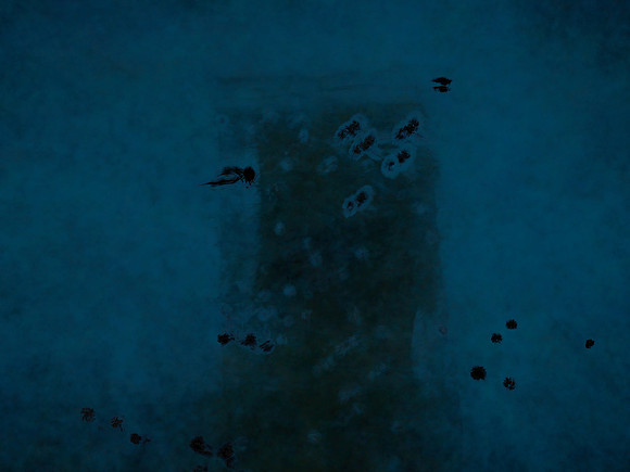 7-124