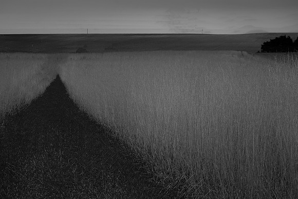 2013-09-17v2-130