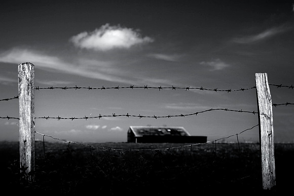 Farm 2