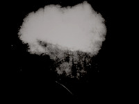 5-20