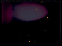 6-91