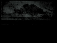 10-64