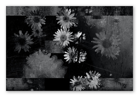 JWE-JW-RL-V210x280-PR-Spreads16_1080px