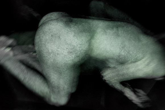 210314 #376-6-3