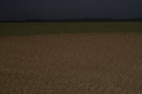170714-70