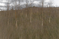 090114-278