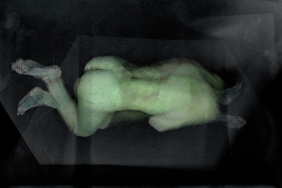 280314 #448-6