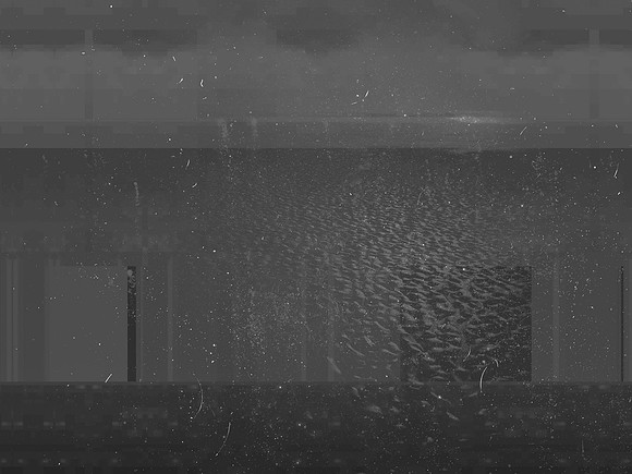10-260