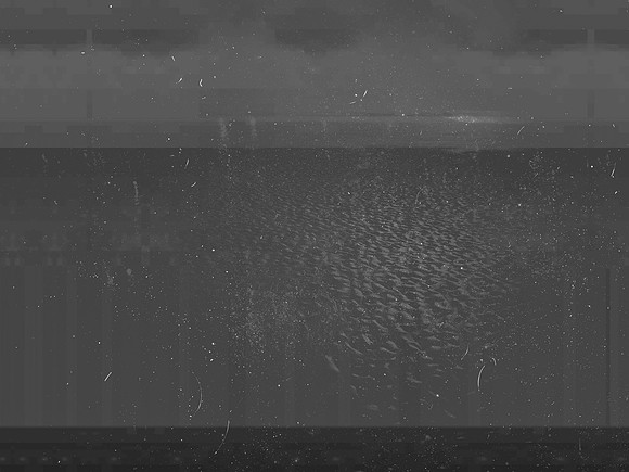 10-262